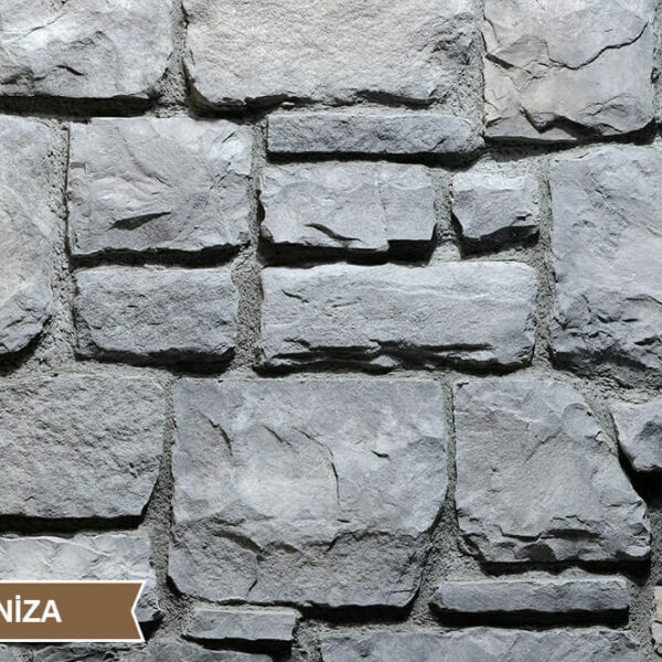 Ota Benga Duvar Taşı • Ceniza